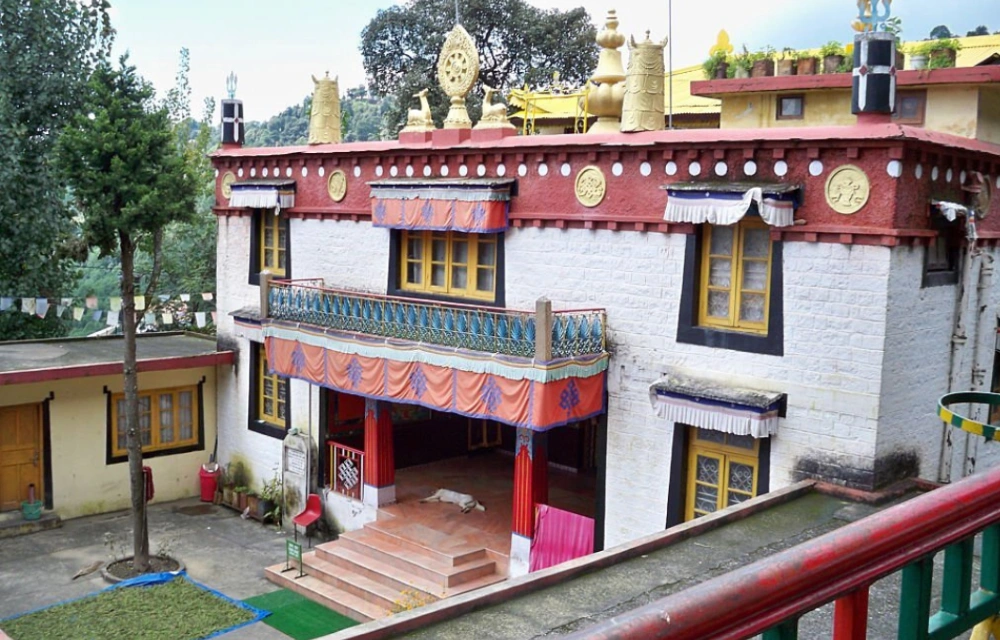 Hillora Mcleodganj