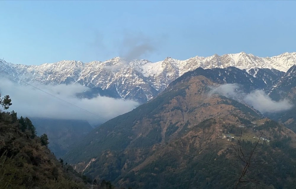 Hillora Mcleodganj